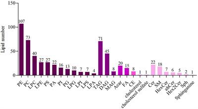 Untargeted lipidomics and metagenomics reveal the mechanism of aspirin eugenol ester relieving hyperlipidemia in ApoE−/− mice